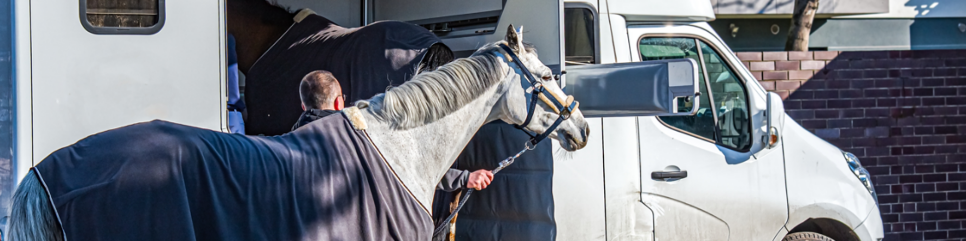 Horse Haulage Insurance